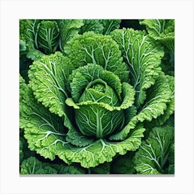 Frame Created From Savoy Cabbage Sprouts On Edges And Nothing In Middle Ultra Hd Realistic Vivid (5) Canvas Print