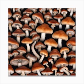 Many Mushrooms On A Black Background Canvas Print