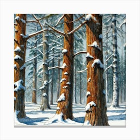 Winter In The Woods Canvas Print