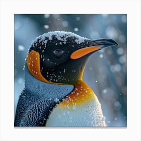 King Penguin 15 Canvas Print