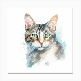 Seychellois Cat Portrait 3 Canvas Print