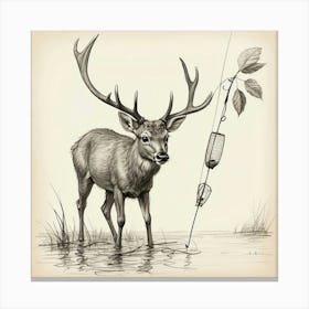 Deer Fishing 13 Canvas Print