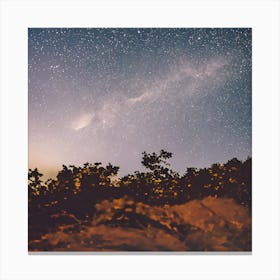 Starry Night Sky 1 Canvas Print