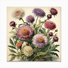 Asters Wildflower Vintage Botanical Art Print Canvas Print