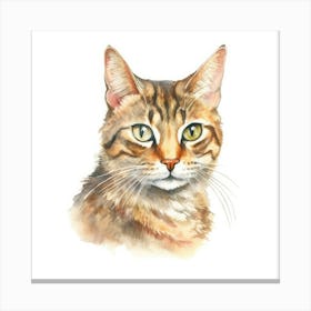 Zambian Cat Portrait 3 Canvas Print