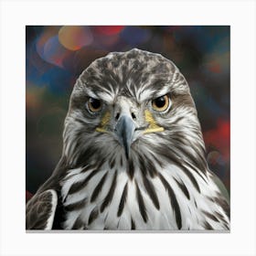 Hawk 12 Canvas Print