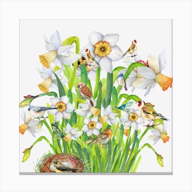 Daffodils And Birds Canvas Print