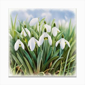 Snowdrops Canvas Print