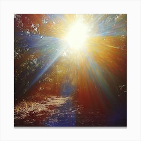 Sun Shining Through The Trees Canvas Print