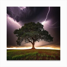 Lightning Tree 20 Canvas Print