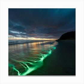 Glow In The Dark Canvas Print