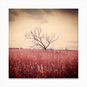 Tree under the clouds Canvas Print