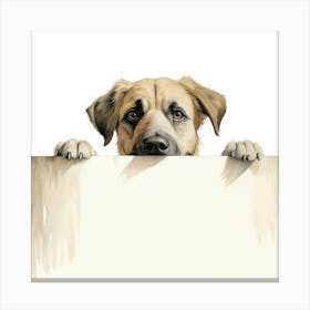 Dog Peeking Over A Blank Sign Canvas Print