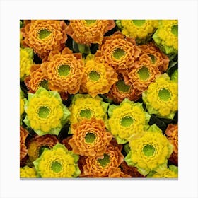 Orange Chrysanthemums Canvas Print