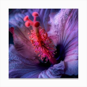 Purple Hibiscus Flower Canvas Print