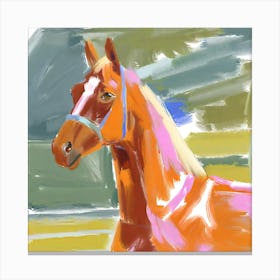 Thoroughbred Horse 03 Canvas Print