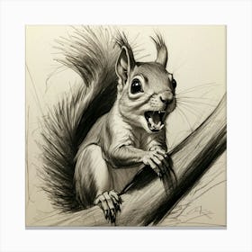 Squirrel Drawing 5 Canvas Print