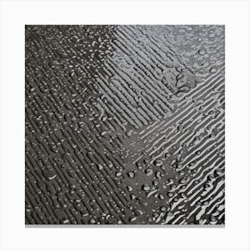 Rain Drops On The Pavement Canvas Print