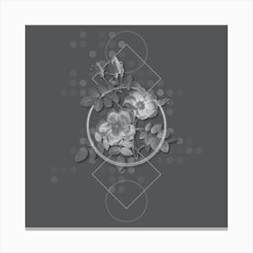 Vintage Austrian Briar Rose Botanical with Line Motif and Dot Pattern in Ghost Gray Canvas Print