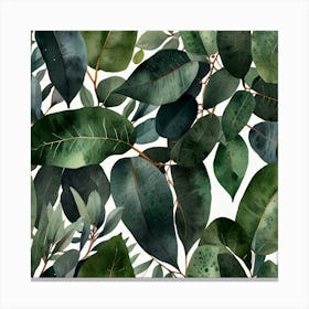 Default Watercolor Eucalyptus Leaves Art 0 Canvas Print