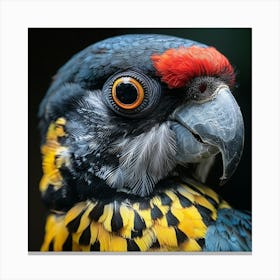 Parrot 4 Canvas Print