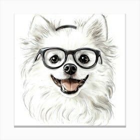 Pomeranian 1 Canvas Print