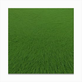 Grass Field 3 Canvas Print