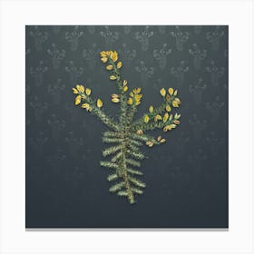 Vintage Yellow Gorse Flower Botanical on Slate Gray Pattern Canvas Print
