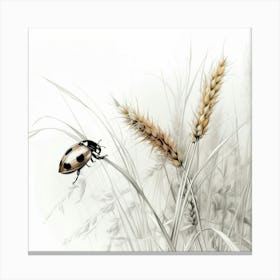 Ladybug, Illustration Canvas Print