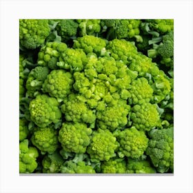 Close Up Of Green Broccoli Canvas Print