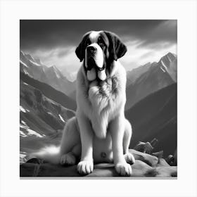 St Bernard Dog 76 Canvas Print