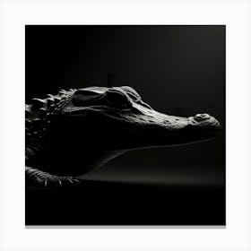 Alligator 3 Canvas Print