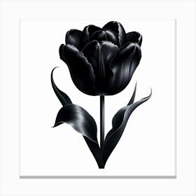 Black Tulip Canvas Print