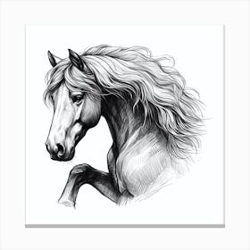 Horse Head Drawing 2 Canvas Print