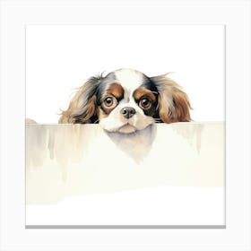 King Charles Spaniel 6 Canvas Print