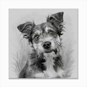 Black And White Drawing Of A Dog Canvas Print