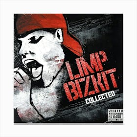 Limp Bizkit Album Cover 4 Canvas Print