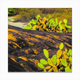 Cactus Plants Canvas Print