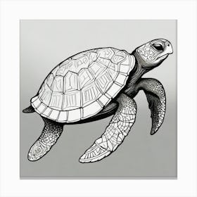 Sea Turtle 1 Canvas Print