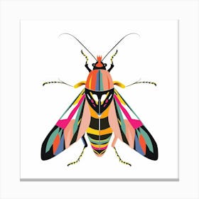 Colorful Moth Canvas Print