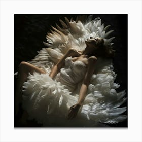 Angel Wings Canvas Print