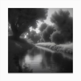 Black And White River Canvas Print