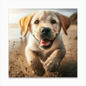 Puppy Running On The Beach Canvas Print