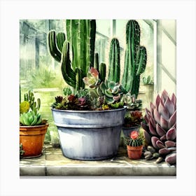 Cacti And Succulents 1 Canvas Print
