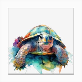 Turtle Watercolor Painting Canvas Print