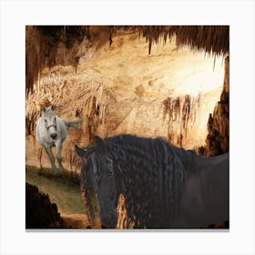 Horse In Cave 1 Canvas Print