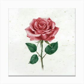 Pink Rose 2 Canvas Print