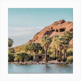 Phoenix Desert Park Canvas Print