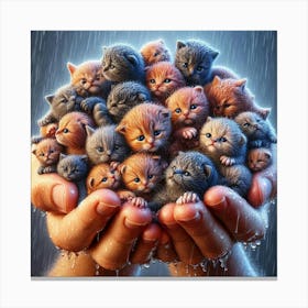 Kittens In The Rain 9 Canvas Print