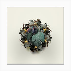 Vintage Fig Fruit Wreath on Ivory White n.0393 Canvas Print